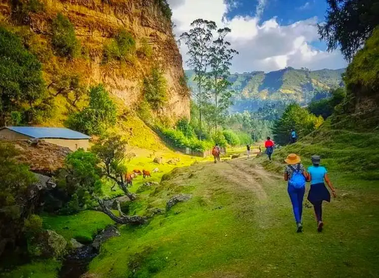 Wonchi Crater Lake Day Tour: Alpine Scenery and Island Monasteries