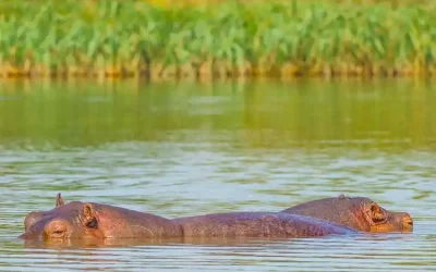 10-Day Historic Tour to Northern & Central Ethiopia