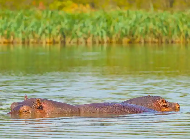 10-Day Historic Tour to Northern and Central Ethiopia