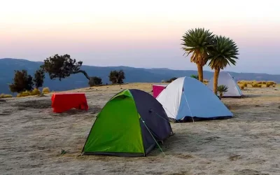 10-Day Simien Mountains Trek: From High Peaks to Lowland Valleys