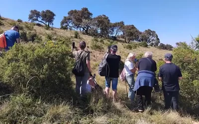 10-Day Simien Mountains Trek to Ras Dejen Summit and to Lowlands