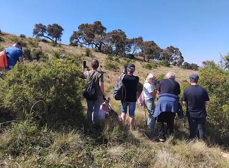 10-Day Simien Mountains Trek to Ras Dejen Summit and to Lowlands