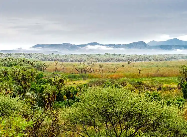 4-Day East Ethiopia Adventure to Awash National Park & Harar Walled City