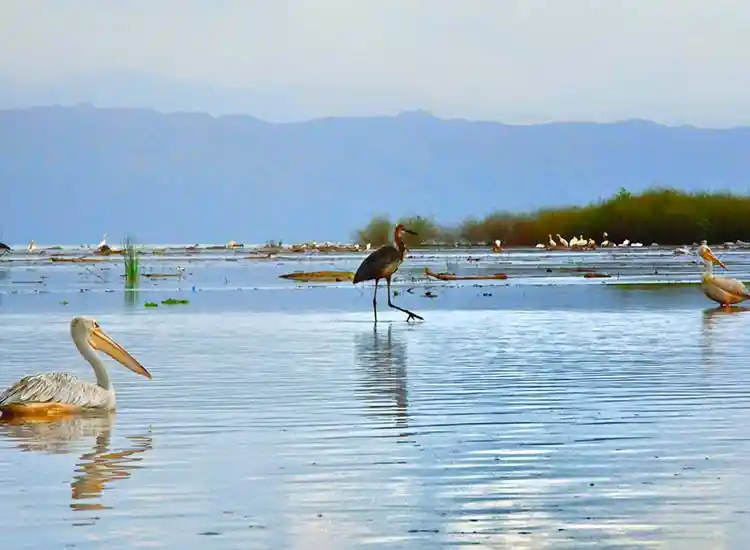 8-Day Combined Tour of Arba Minch, Omo Tribes & Lalibela Churches