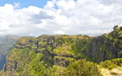 8-Day Simien Mountains Expedition: The Ultimate Highland Trek