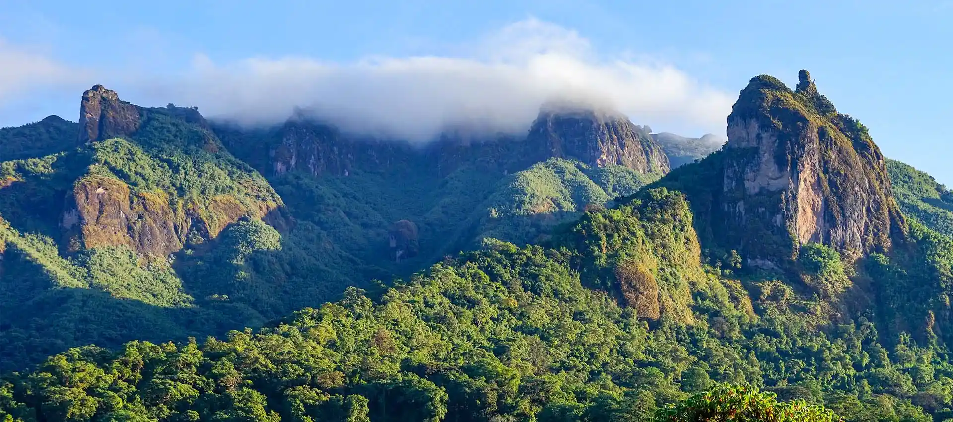 Bale Mountain Simien National Park Trekking Hiking tours and Holiday packages