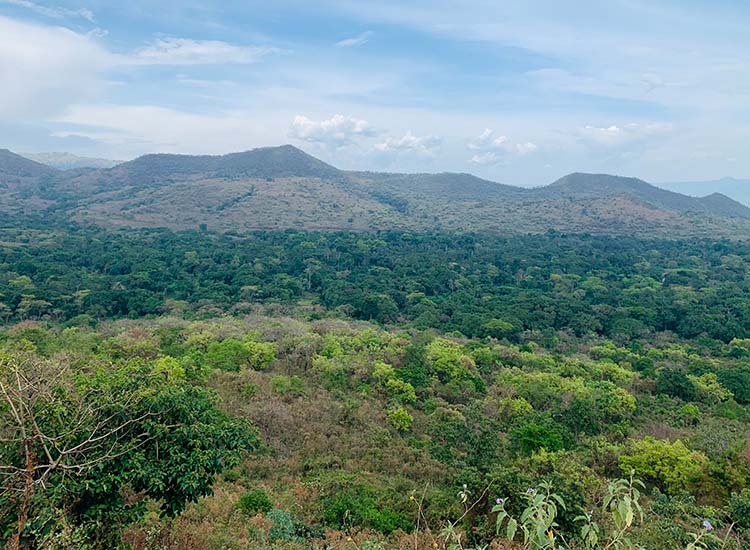 Chebera Churchura National Park Ethiopia
