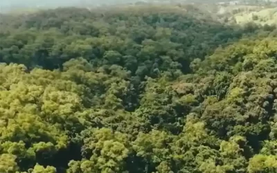 7-Day Tour of Jimma, Bonga & Kaffa Biosphere