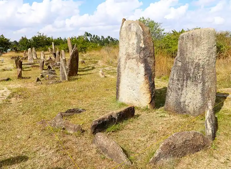 1-Day Trip to Tiya Stelae, Melka Kuntere & Adadi Mariam